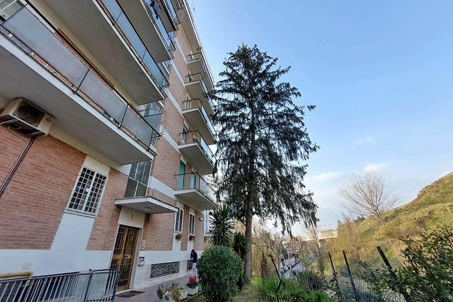 La Casa Di Flavia Otel Roma Dış mekan fotoğraf